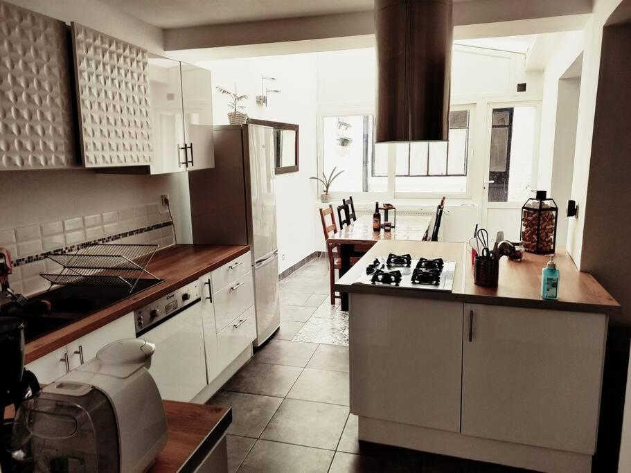 Superbe Maison Renovee Avec Agreable Jardin Sainte-Catherine  外观 照片