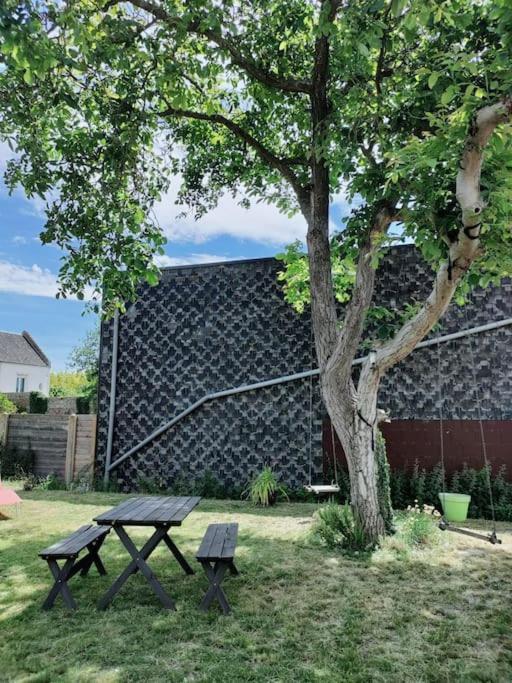 Superbe Maison Renovee Avec Agreable Jardin Sainte-Catherine  外观 照片
